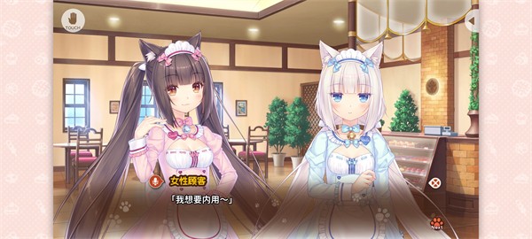 猫娘乐园4免费下载安装最新版本