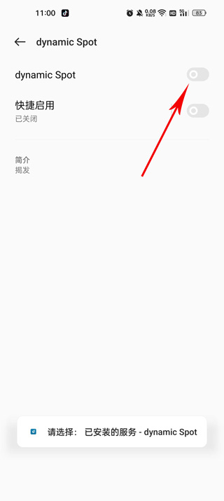 dynamicspot下载免费版中文官方下载