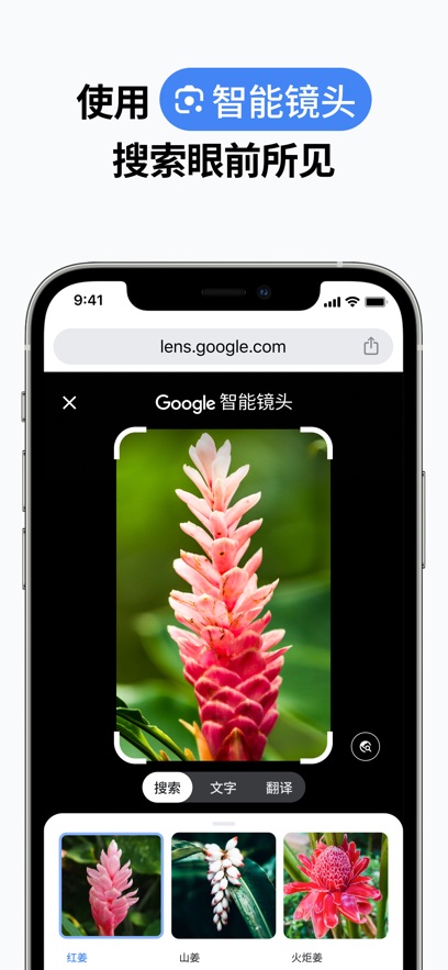 谷歌浏览器安卓下载