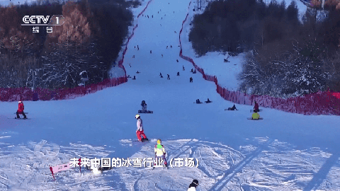 小飞电视官网正版下载