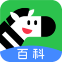 斑马百科正版下载